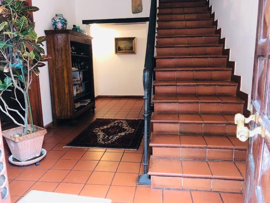 ホテル La Casa Di Marina フェラーラ エクステリア 写真